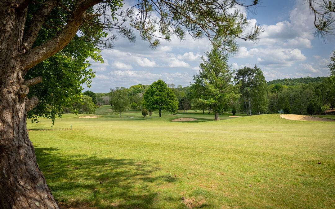 Chiddingfold Golf Club Fairway Chiddingfold Golf Club Fairway