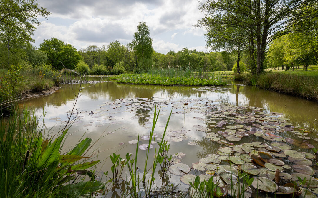 Chiddingfold Golf Club Lake Chiddingfold Golf Club Lake
