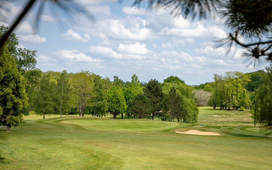View of Chiddingfold Golf Club View of Chiddingfold Golf Club